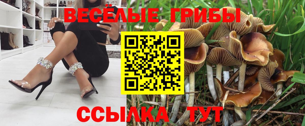 Галлюциногенные грибы мухоморы Назрань