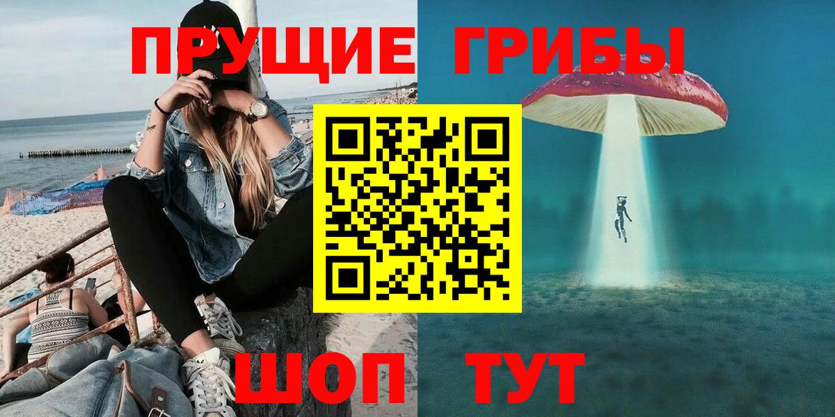 Назрань  Галлюциногенные грибы прущие грибы  Вход с VPN 